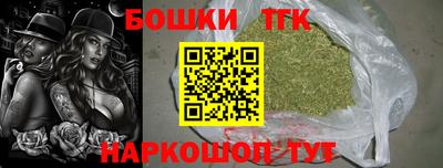 индика Ливны
