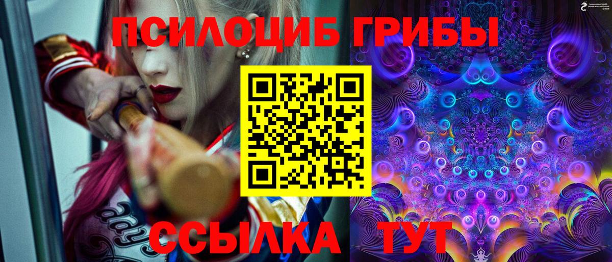 Псилоцибиновые грибы мухоморы  Вход с VPN  Гусиноозёрск 